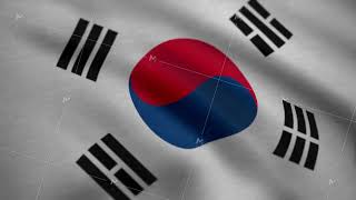 The South Korea flag waving in the wind South Korea Country flag animation [upl. by Danica765]