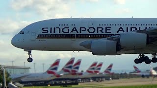 ✈️80 AIRPLANES LANDINGS in 30 MINUTES​✈️​ London HEATHROW Airport Plane Spotting LHREGLL [upl. by Enitsenre19]