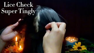 ASMR Lice Check Super Tingly You Will Feel Calm  No Talking 🥱😴💤 [upl. by Adnuahsar]