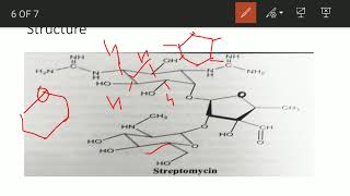 production of chloramphenicol and streptomycin [upl. by Wilen]