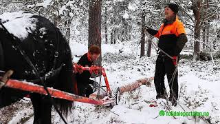 Skogsdag og skogsdrift med hest i Sollia [upl. by Odraleba126]