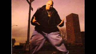 Fat Joe Da Gangsta  09 The Shit Is Real Beatnuts Version [upl. by Eihtur]