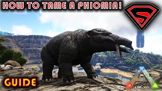 ARK HOW TO TAME A PHIOMIA 2020  EVERYTHING YOU NEED TO KNOW ABOUT TAMING A PHIOMIA [upl. by Sirrot340]