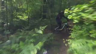 Shotgun into Muddy Erks lead Riding the MTB trails in Clyne woods [upl. by Daffy]