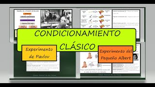 Condicionamiento Clásico Experimento de Pavlov Experimento del Pequeño Albert [upl. by Murphy]