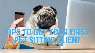 Pet sitting How to get your first client [upl. by Hsital]