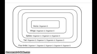 Build your own cladogram  BetterLesson [upl. by Anna-Maria]