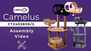 Camelus CT240383BG Assembly Video [upl. by Yxel]