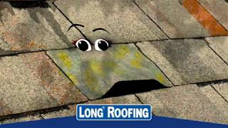 ESB Advertising  Long Roofing Fall Season Talking Shingles Commercial [upl. by Elatia]