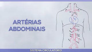 Artérias Abdominais [upl. by Corie396]