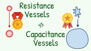 Why EXACTLY the Arteries are called Resistance Vessel And Vains Capacitance Vessel [upl. by Landbert995]