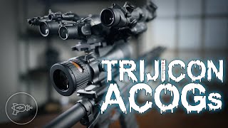 A Tale of 4 ACOGs Trijicon Optics That ARENT the TA31 Review [upl. by Dlnaod]