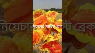 MCB ও MCCB এর পূর্ণরূপ কি Bangladesh electric house wiring YouTube short video [upl. by Witcher]