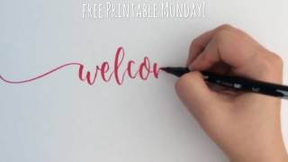 Welcome Hand Lettering [upl. by Aziram359]