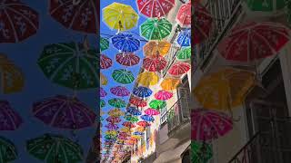 agueda portugal umbrella town summer travel [upl. by Carry579]