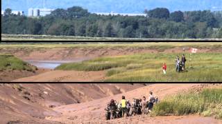 An Innovative Montage of Mudcreek Wolfville and Acadia MixUp Red and BLue DayWolfville Nova Scotia [upl. by Glarum]