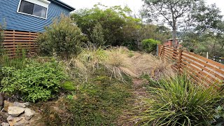 Horribly Neglected Overgrown Australian Native Garden  Complete Makeover [upl. by Penelopa621]