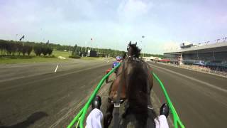 Harness Racing Up Close Jody Jamieson  Helmet Cam [upl. by Ursula]