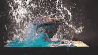 Houdini Starcraft Hydralisk ambush lake waterfx fluid simulation [upl. by Haimehen719]