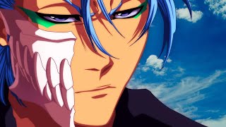 Grimmjow Returns to Settle Old Scores With Ichigo  Bleach [upl. by Lothario]