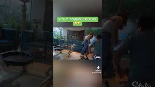 vitalyzdtv vitaly kickcom vitalyplays [upl. by Petra450]