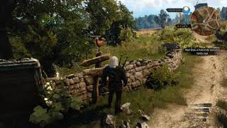 The Witcher 3  COW GWENT CARD LOCATION [upl. by Silver829]