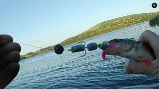 Fishing In Blessington Lake [upl. by Giovanni477]