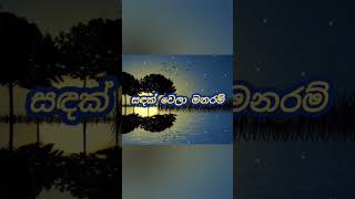 Sadak Wela Manaram  Sinhala Song With Lyrics  Sinhala New Song  ALLINONE1slcs [upl. by Artinad]