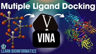 Multiple Ligand Docking using Autodock Vina  Bioinformatics [upl. by Latrena]