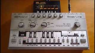 Roland TB303 through Korg monotron Delay [upl. by Ynna]