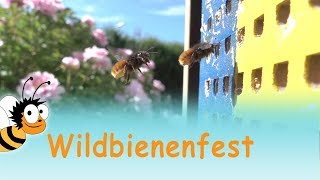 Wie unterscheiden sich Wildbienen von Honigbienen  Wildbienenfest 2018 [upl. by Oeramed]