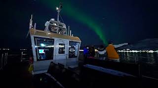 Northern Lights Dinner Cruise in Tromsø with Brim Explorer [upl. by Bordiuk]