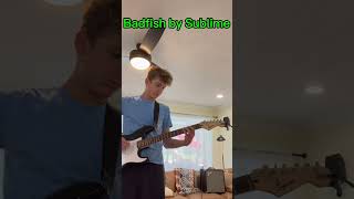 Solo for Badfish by Sublime [upl. by Akener497]