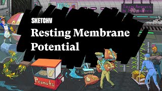 Resting Membrane Potentials A Study Guide Part 1  Sketchy Medical  USMLE Step 1 [upl. by Ynnad]