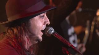 Daron Malakian live in Armenia 2015 best moments [upl. by Einahpets]