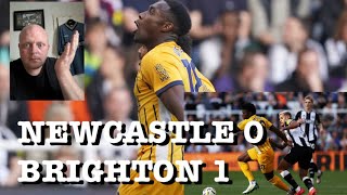 Match Reaction Newcastle United 01 Brighton Seagulls Sh1t on Toon [upl. by Grous461]