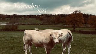 Novembre 2023 [upl. by Renraw]