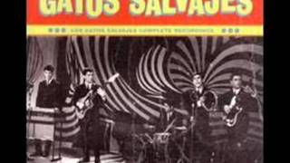 Los Gatos Salvajes  Ruta a Go Go 1965wmv [upl. by Anole]