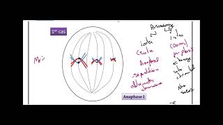 cours brassage de information genetique3 ème sciences [upl. by Stacy]