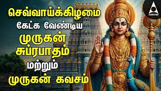 Tuesday Powerful Murugan Suprabatham And Muruga Kavasam  Murugan Bakthi Padalgal [upl. by Valma607]