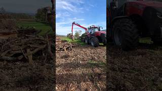 Chantier de broyage de bois avec un Case IH Magnum de 400 ch [upl. by Wat973]