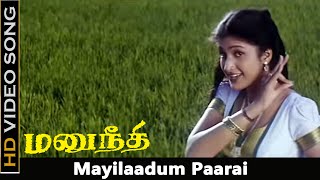 Mayilaadum Paarai Song  Manu Needhi Movie  Murali Prathyusha Old Songs  Deva Hits  HD [upl. by Leff]