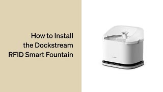 How to Install Your Fountain  Petlibro Dockstream RFID Smart Fountain [upl. by Asil]