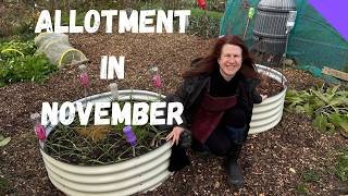 November Allotment Tour  Allotment Gardening For Beginners UK [upl. by Bergstrom388]