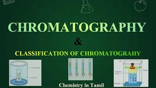 Polytene amp Lampbrush chromosomes  11th Bio  Botany  Cell the unit of life  தமிழ் [upl. by Marcelle154]