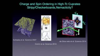 LOEB LECTURE YAZDANI Ali quotVisualizing a Nematic Quantum Liquidquot  110116 [upl. by Ztirf850]