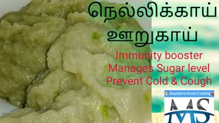 Nellikai Oorugai in Tamil  Gooseberry Pickle  Monisri Sourastra home cooking [upl. by Fachanan355]