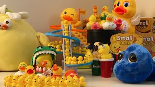 ASMR PLAY asmr asmrsounds asmrvideo satisfying relaxing cute duck toys play playtime yt [upl. by Alliw]