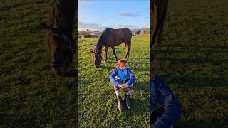 Momentos de psz en la hípica caballos hipica vlog [upl. by Misab159]