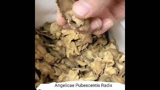 bulk high quality radix angelicae tuhuo natural dried Angelicae Pubescentis Radix herbalrcom [upl. by Ennalorac75]